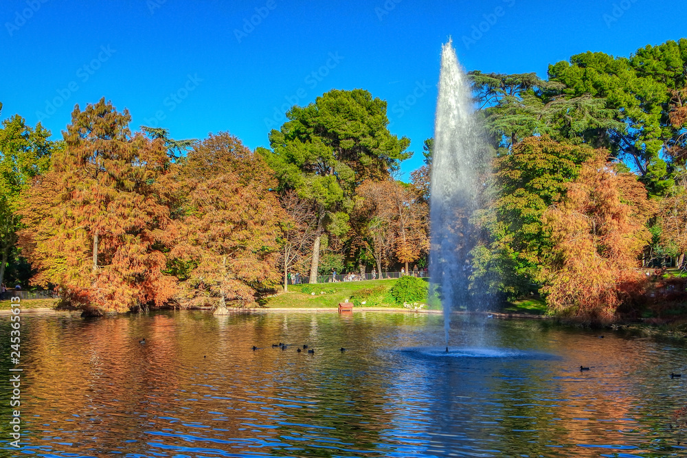 Landscape of Retiro Park, Madrid, Spain Landscape of Retiro Park, Madrid, Spain