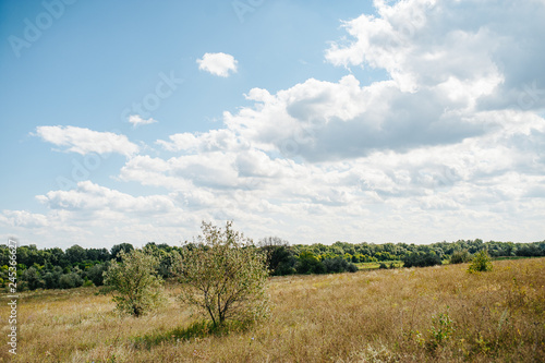 Ukraine. Summer landscape steppe  ecology scene. Erosion of natural landscape. Luhansk region