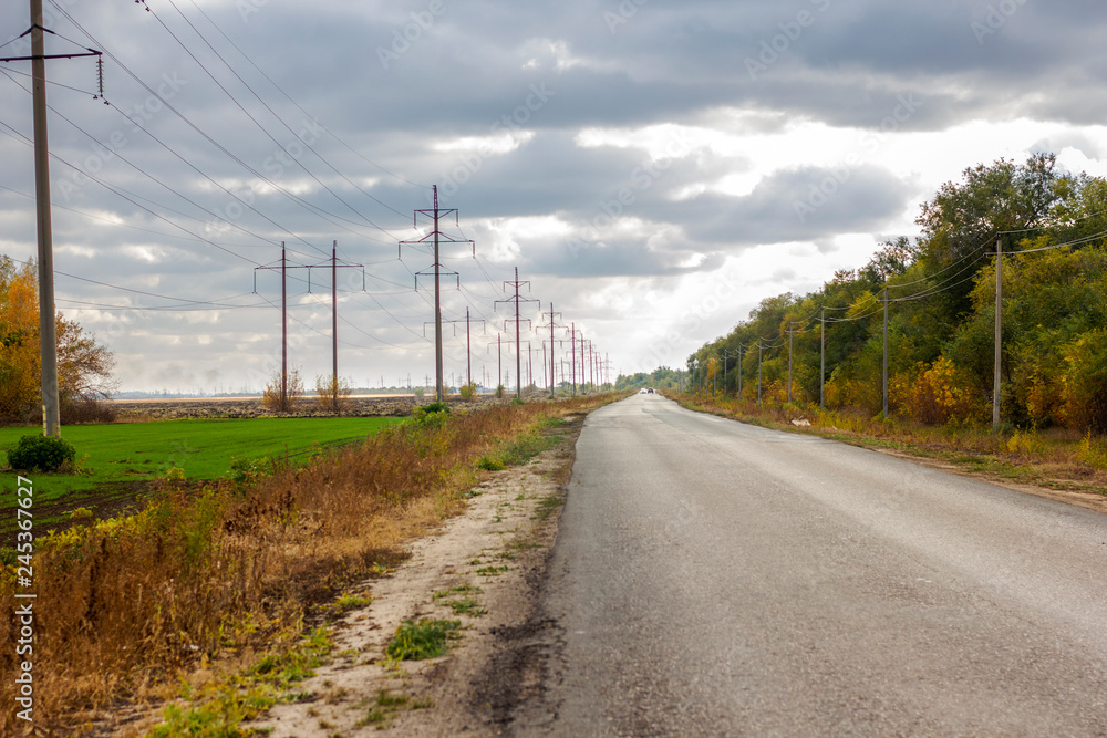 desert road paved asphalt road goes into perspective past autumn plantings of trees and winter fields with green shoots against a cloudy sky desert road paved asphalt road goes into perspective past autumn plantings of trees and winter fields with green shoots against a cloudy sky