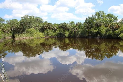 Reflective Pond 2