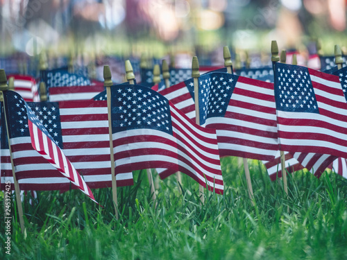 American flags in the park