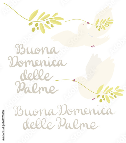 Buona Domenica delle Palme - Happy Palm Sunday - set with handwritten lettering and white dove flying with olive branch isolated on white. Hand drawn vector in mimal style.