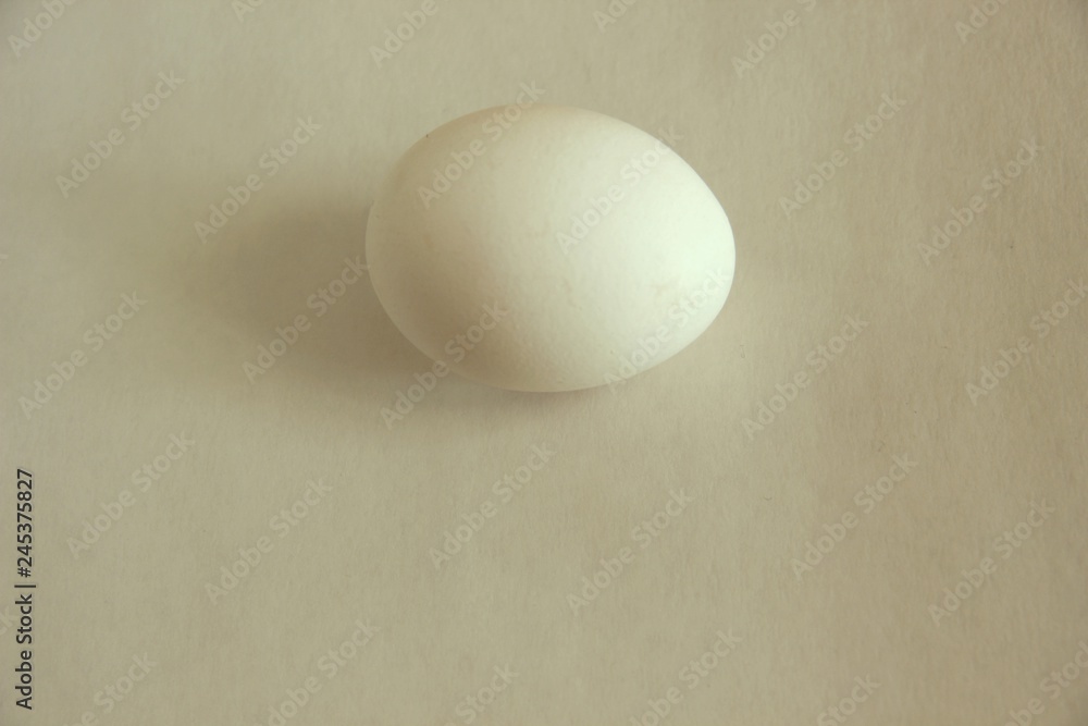 white egg on white background. isolated close-up cutout white egg on white background. isolated close-up cutout