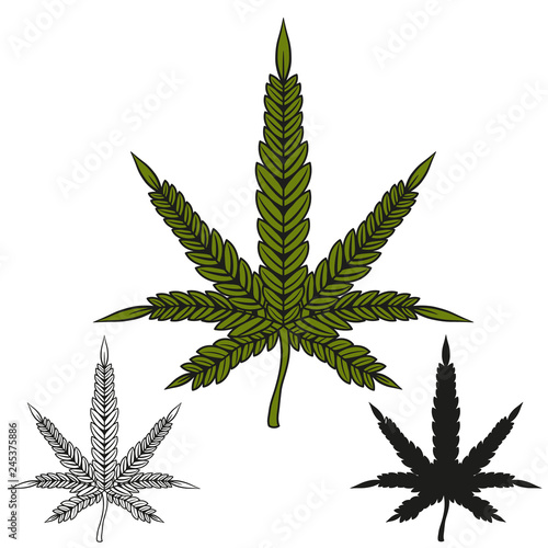 Set of marijuana leaf. Cannabis leaf in different styles. Vector illustration.