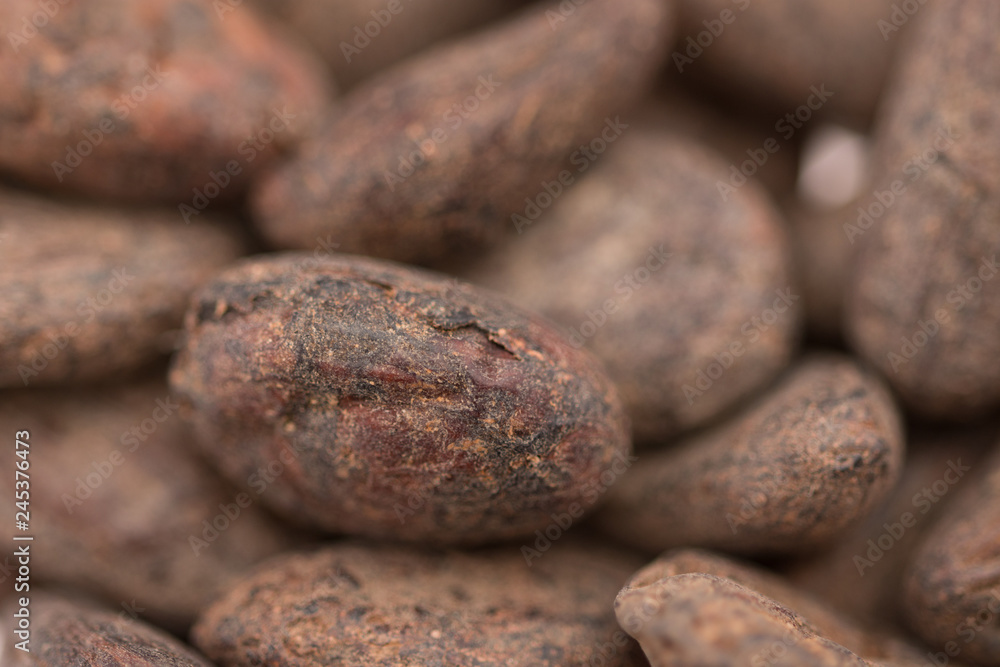 Cocoa beans detail Cocoa beans detail
