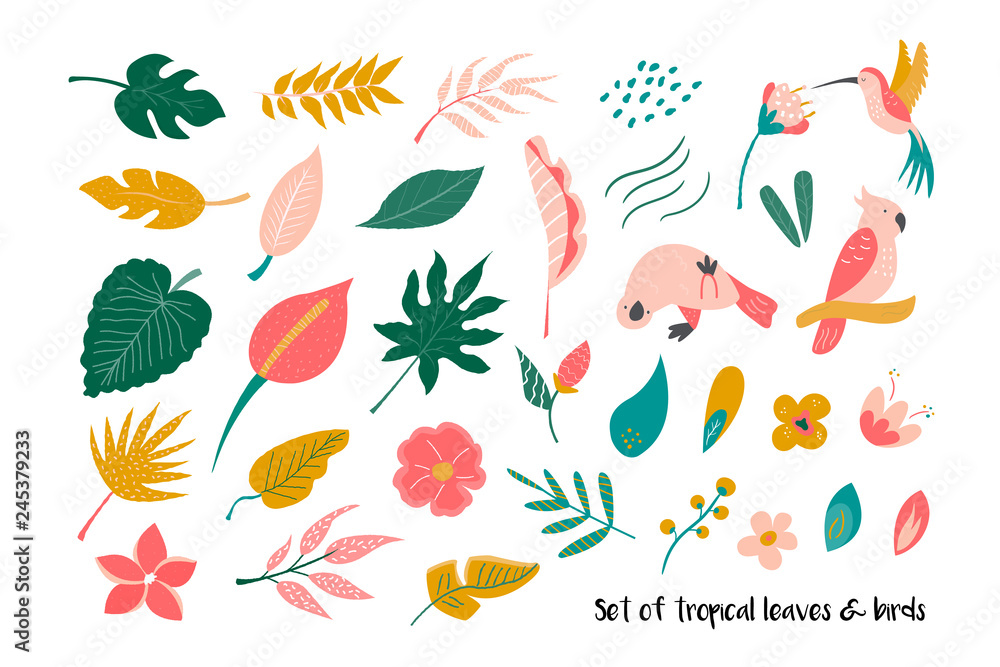 Big set of bright tropical leaves and birds. Big set of bright tropical leaves and birds.