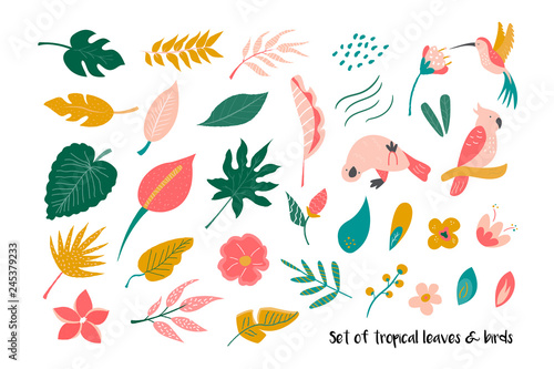 Big set of bright tropical leaves and birds.