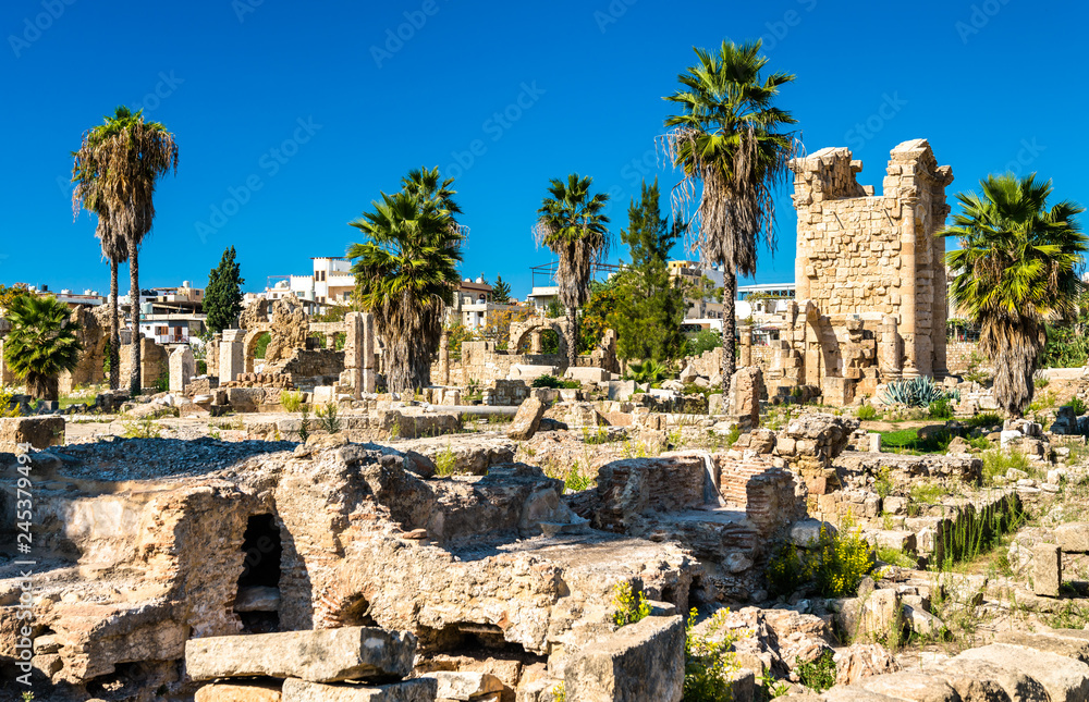 Fototapeta premium The Al-Bass Tyre necropolis in Lebanon