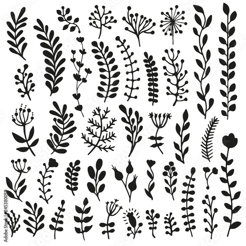Bullet journal hand drawn vector elements for notebook, diary and planner. Set of doodles branches, herbs, plants.
