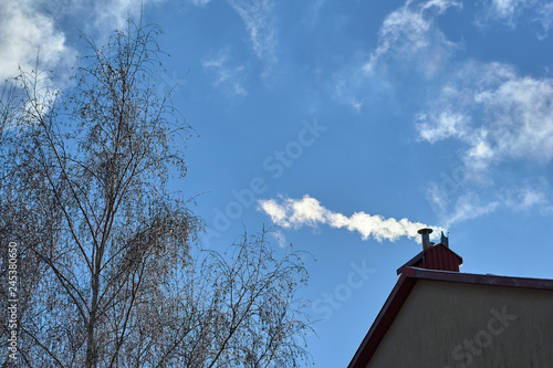 tree with icy branches and a house with a smoking chimney in Poznan