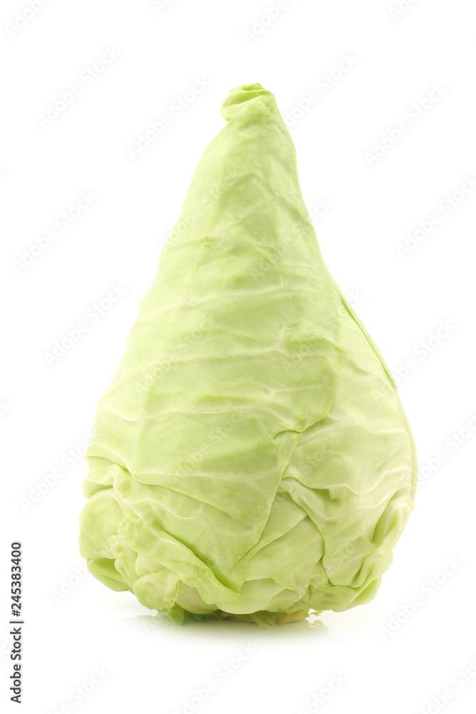 Naklejka premium a fresh harvested green pointed cabbage on a white background