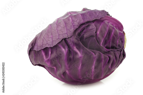 freshly harvested red pointed cabbage on a white background
