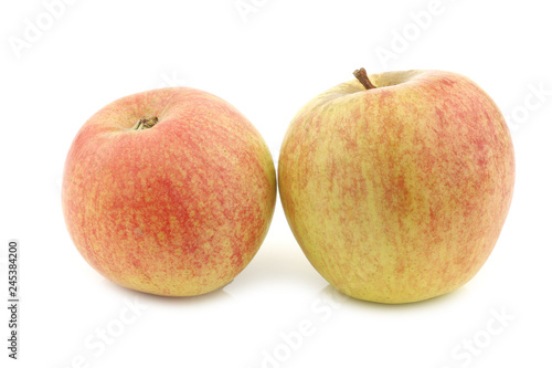 fresh Dutch cooking apples on a white background