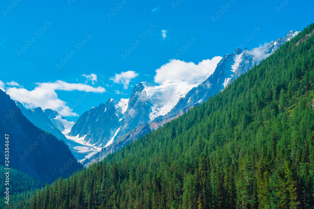 Giant glacier in sunny day. Rocky ridge with snow behind mountains with conifer forest cover. Clouds above huge snowy mountain range under blue sky. Atmospheric highland landscape of majestic nature.