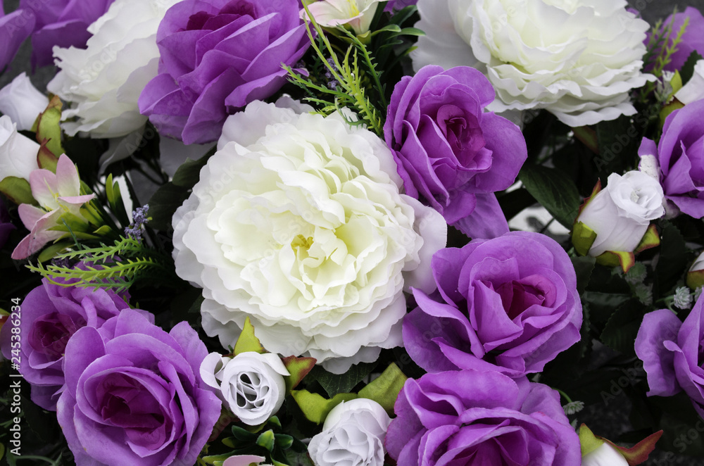 Obraz premium Fresh and fragrant roses