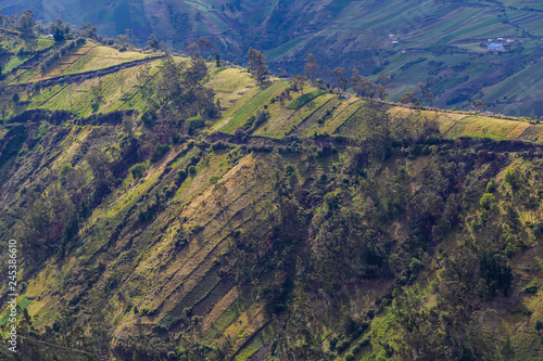 Plots of Andean crops