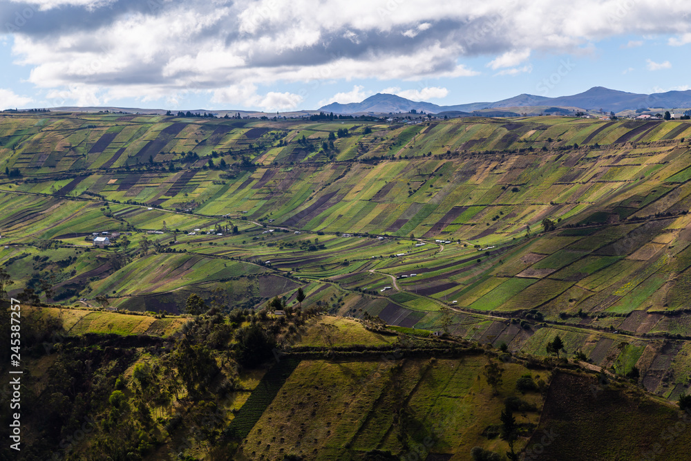 Fototapeta premium Plots of Andean crops