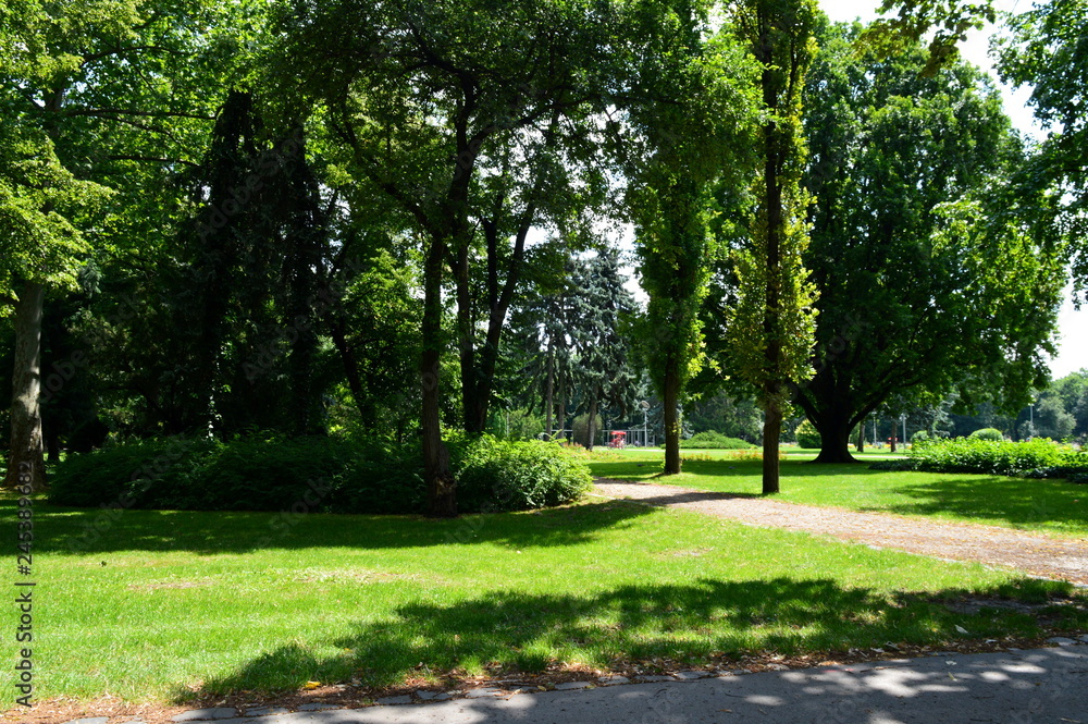 Obraz premium An empty path in the park, Budapest, Hungary