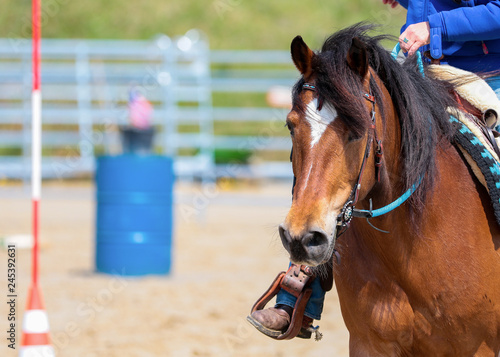 Western horse in close-up on a tournament in a trail and flagrace..