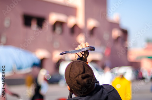snake charmer in jemaa el fna market in marrakesh