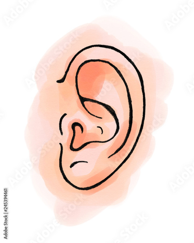 Hand drawn illustration of human ear, watercolors, isolated on white background.
