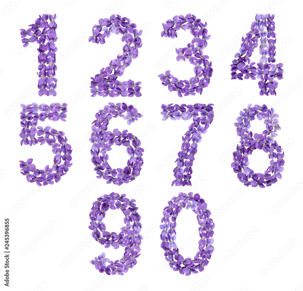 Set of arabic numbers, natural flowers of violet, isolated on white background Set of arabic numbers, natural flowers of violet, isolated on white background