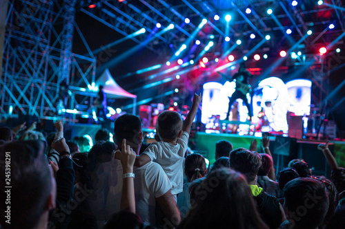 Concert crowds. Crowded concert scene with adults and children