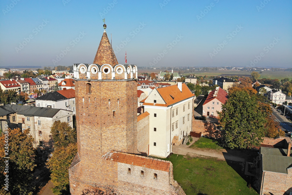 Zamek Królewski w Łęczycy, Polska