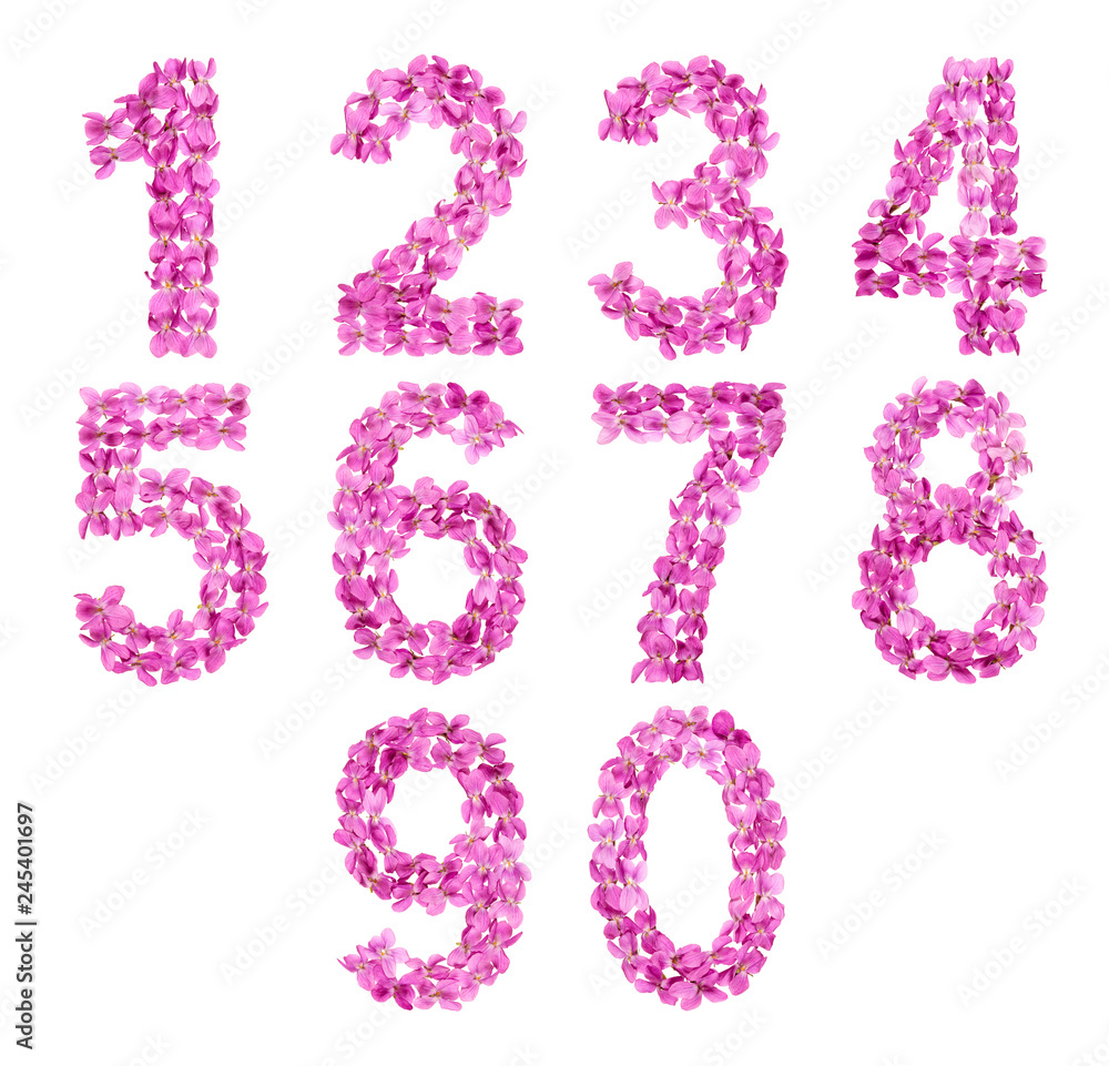 Set of arabic numbers, natural pink flowers of violet, isolated on white background Set of arabic numbers, natural pink flowers of violet, isolated on white background