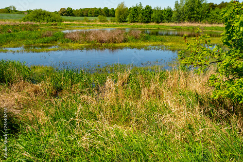 View to a pond in the local recreational area "Flaeming-Skate" near Berlin, Germany.