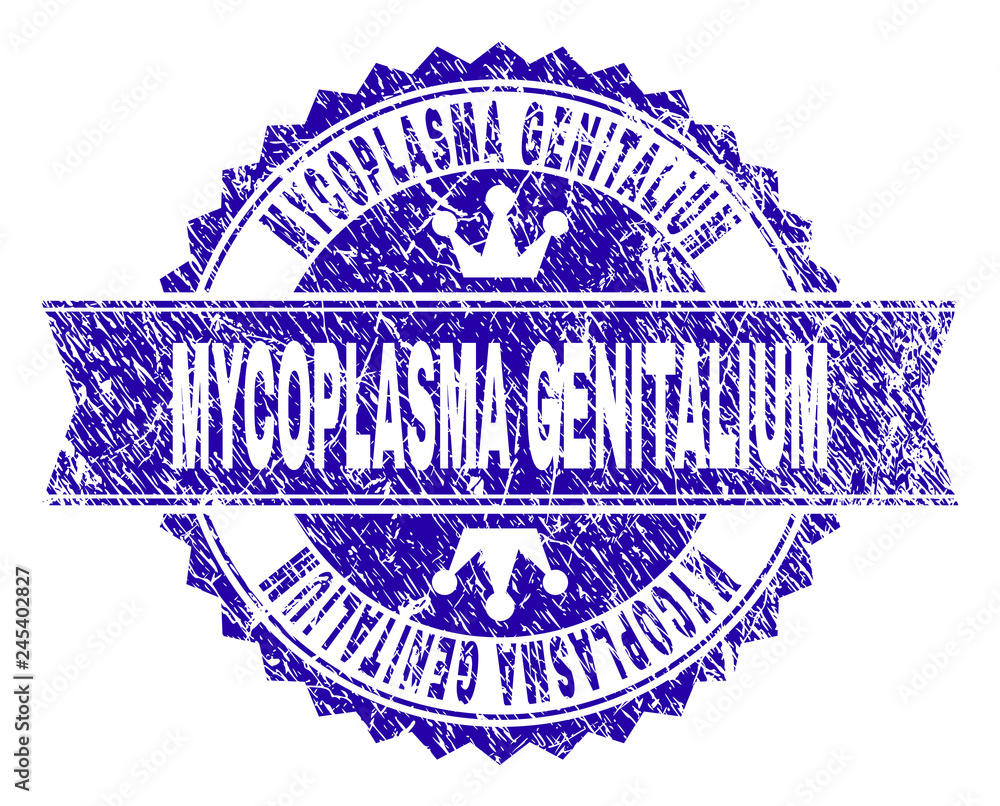 Obraz premium MYCOPLASMA GENITALIUM rosette seal overlay with grunge texture. Designed with round rosette, ribbon and small crowns. Blue vector rubber print of MYCOPLASMA GENITALIUM text with grunge texture.