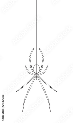 Hanging Spider Continuous Vector Line Graphic