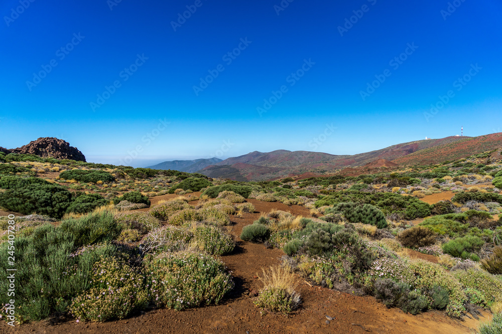 Desert landscape in the vicinity of the Teide volcano. Viewpoint: Mirador Caramujo. Tenerife. Canary Islands. Spain.