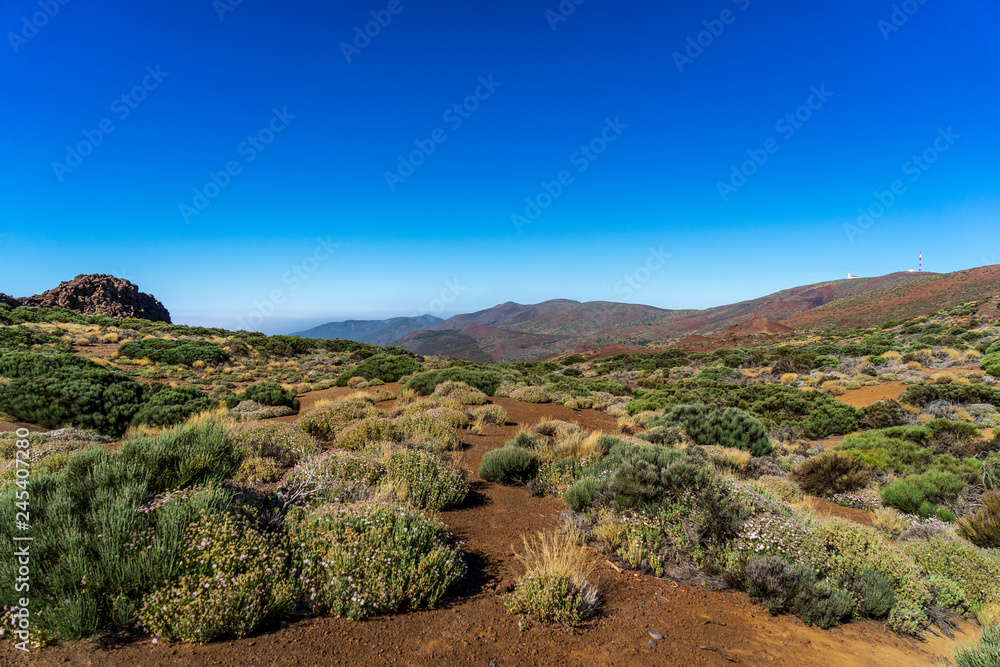 Desert landscape in the vicinity of the Teide volcano. Viewpoint: Mirador Caramujo. Tenerife. Canary Islands. Spain. Desert landscape in the vicinity of the Teide volcano. Viewpoint: Mirador Caramujo. Tenerife. Canary Islands. Spain.