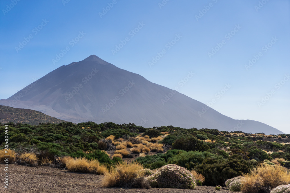 Vew of the Teide volcano. Viewpoint: Mirador Caramujo. Canary Islands. Tenerife. Spain.
