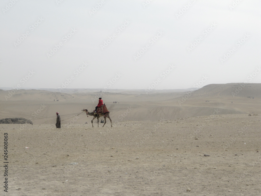 Bedouin carries tourist on a camel through the desert on a hot day