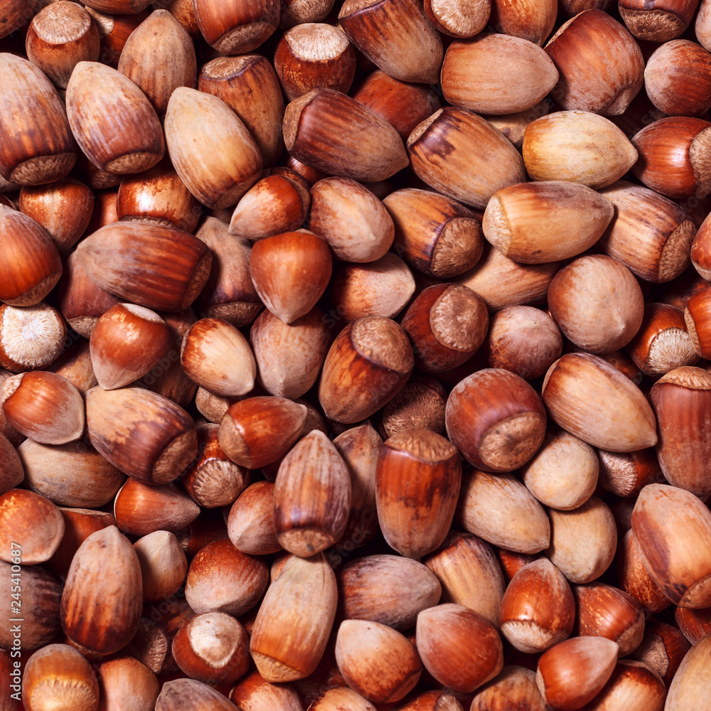 background - wild hazelnuts of different sizes background - wild hazelnuts of different sizes