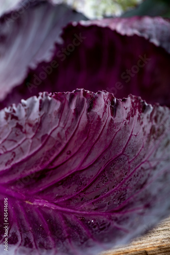 Fototapeta Naklejka Na Ścianę i Meble -  Fresh Red Cabbage
