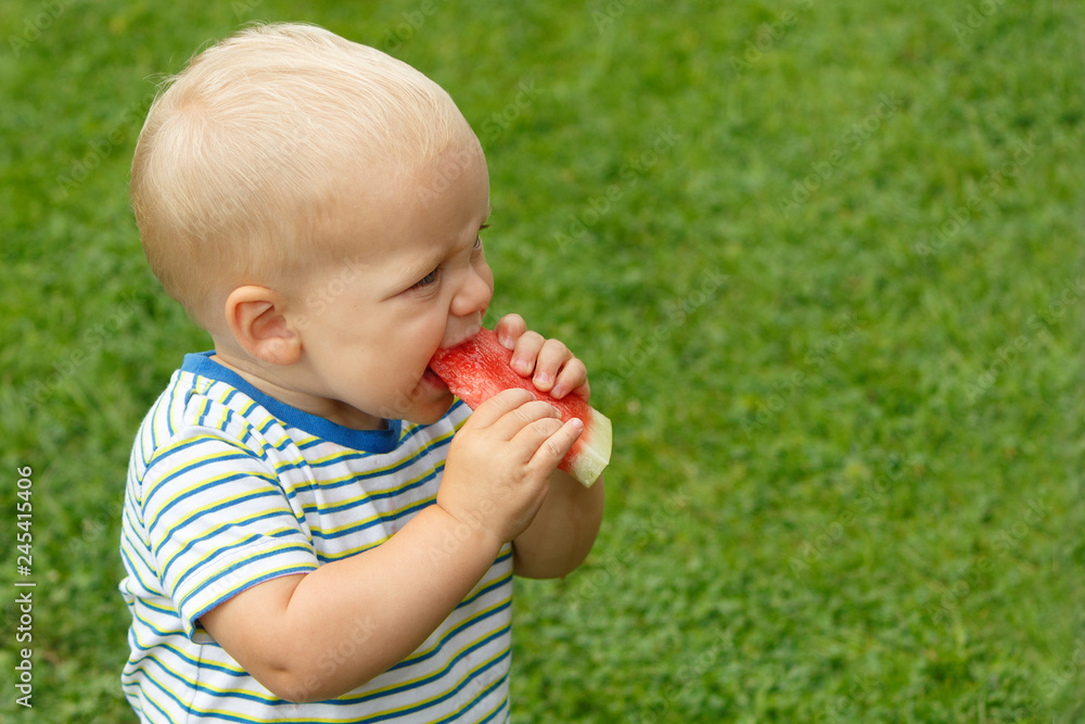 Portrait of toddler child outdoors with watermelon. Rural scene with two year old baby boy eating watermelon slice in the garden. Portrait of toddler child outdoors with watermelon. Rural scene with two year old baby boy eating watermelon slice in the garden.