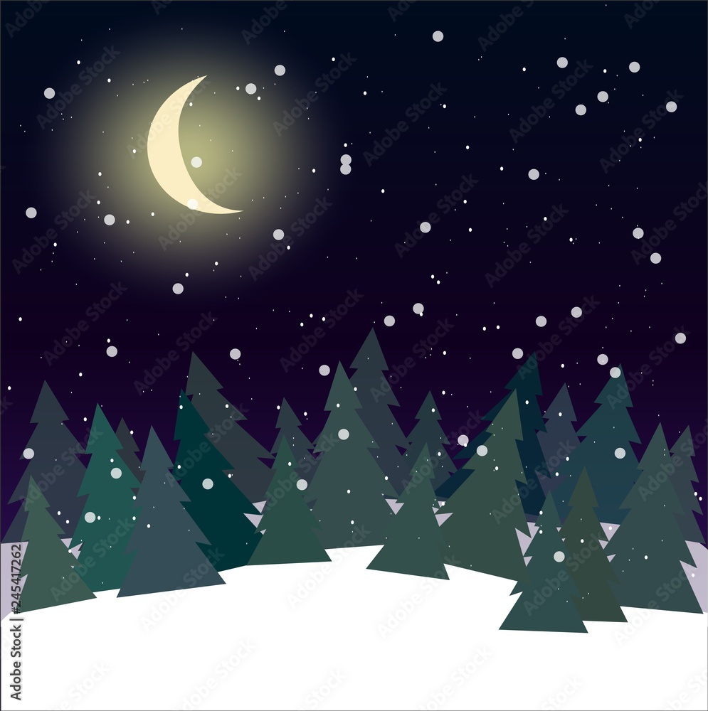 forest at night with pine trees forest at night with pine trees
