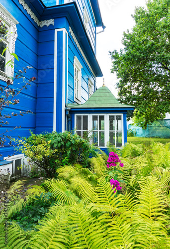 Garden scenery of blue wooden old house with alive plants flowers and trees with leaves on a sprong summer day greenery floral nature environment
