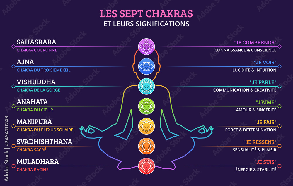 Les Sept Chakras et leurs significations Stock Vector | Adobe Stock