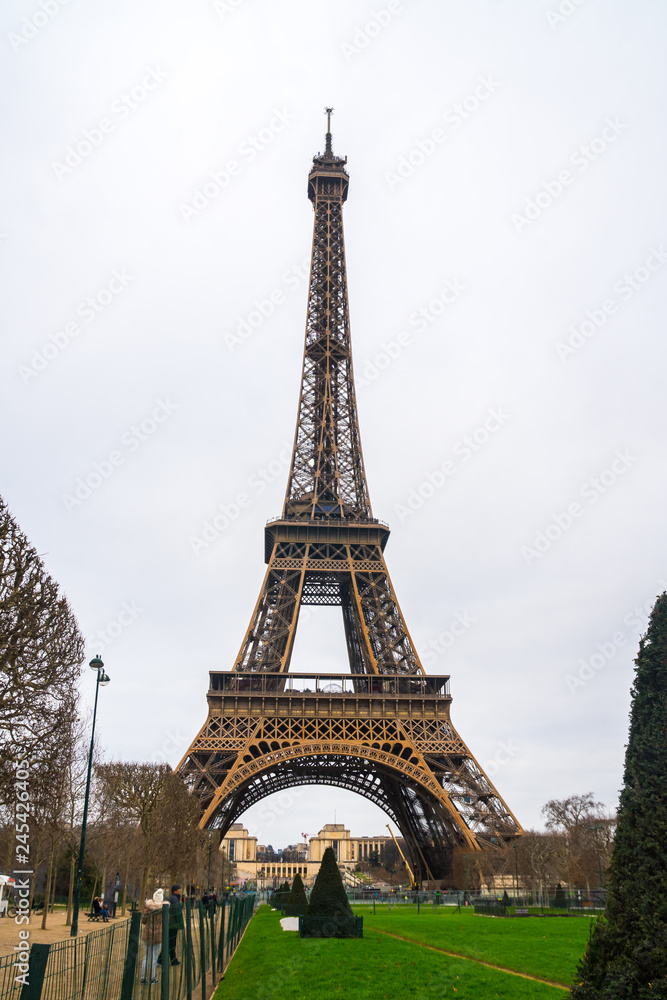 View at Eiffel Tower from the Champ de Mars (Field of Mars)