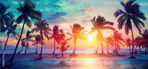 Obraz Sylwetki palmy na tropikalnej plaży o zachodzie słońca - nowoczesne kolory Vintage