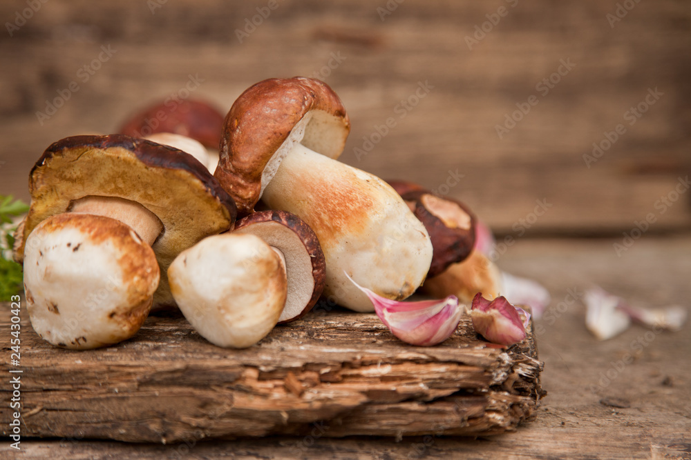Mountain mushrooms on the wooden background Mountain mushrooms on the wooden background