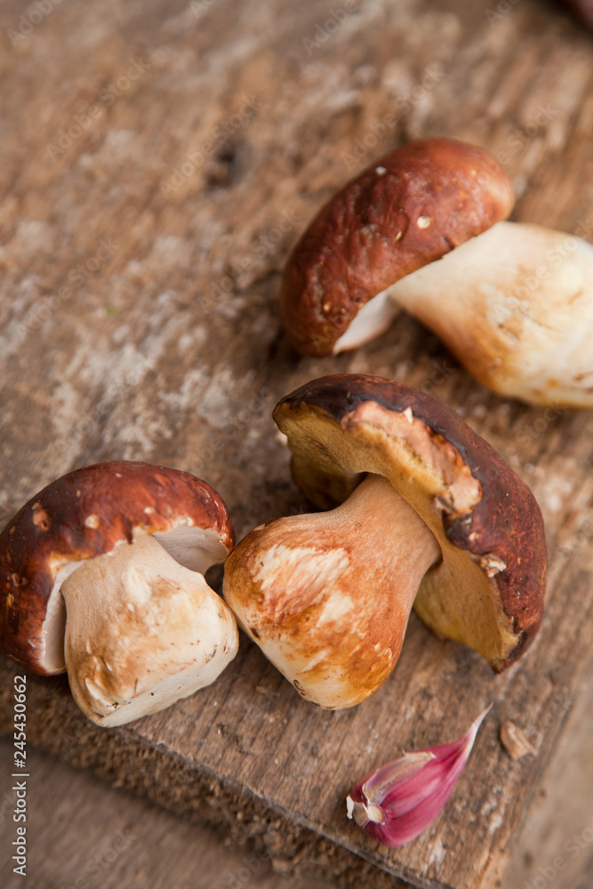 Mountain mushrooms on the wooden background Mountain mushrooms on the wooden background