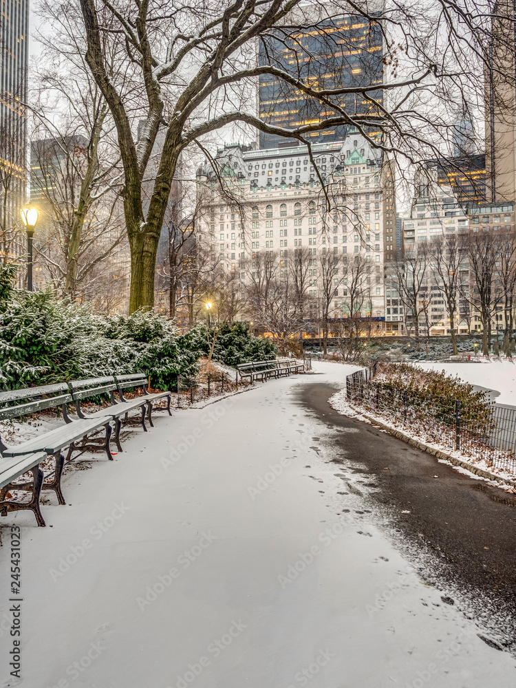 Central Park, New York City in winter