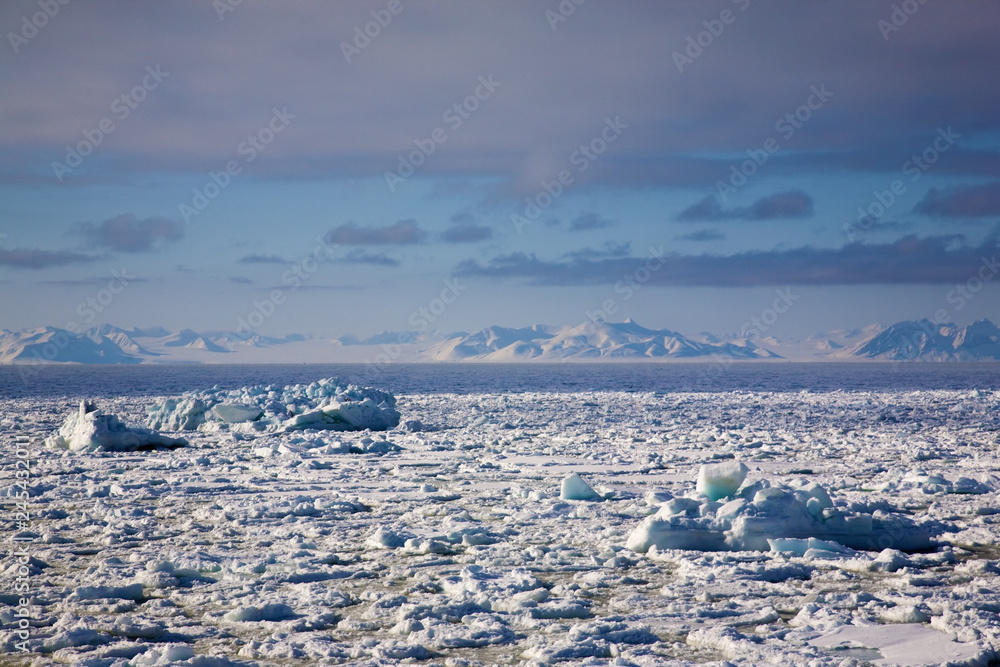 Glacier with small iceberg at the Arctic North Pole, Svalbard. 