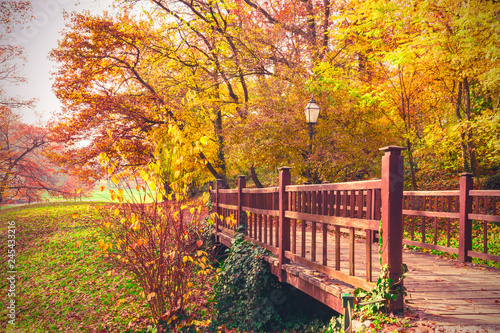 Bridge in the autumn park