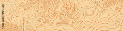 Abstract vector topographic map in brown colors
